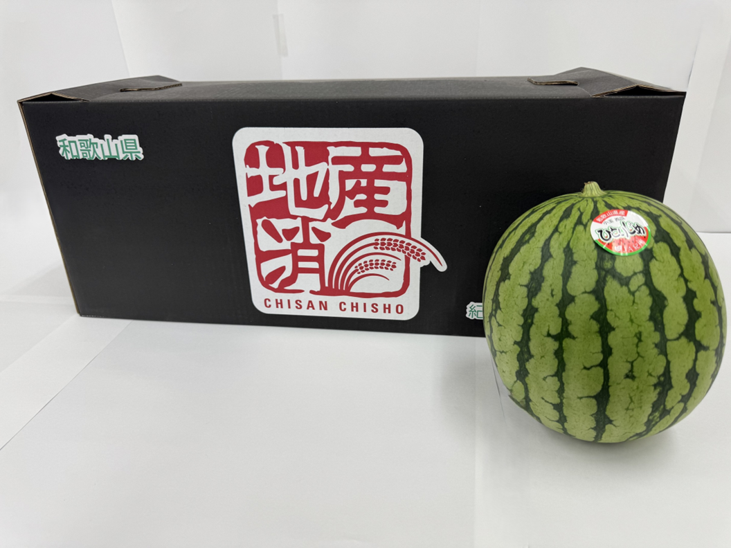 小玉すいか（ひとりじめ）３玉入（６月末まで）
